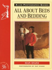 All About Beds & Bedding